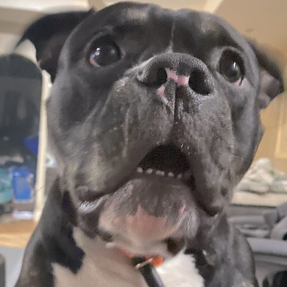 Meet your Posher, Jeanette